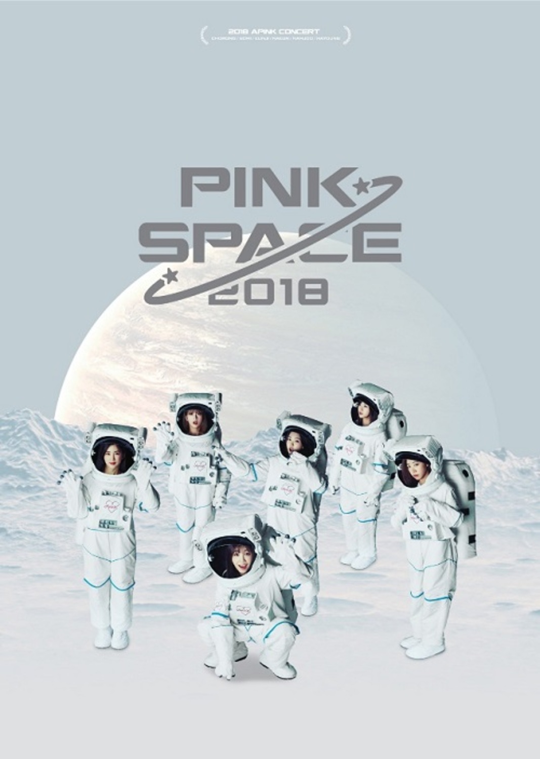 에이핑크 (APINK) - PINKSPACE 2018 콘서트북